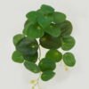 Artificial Plant 20*28cm Foliage *12 hanging GS-29822058 Leaves&Sprays&Foliages YeahFlower is one of Chinese leading OEM manufacturers and exporters , supplying the silk flowers, wholesale artificial trees