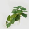 Artificial Plant 20*28cm Foliage *12 hanging GS-29822058 Leaves&Sprays&Foliages YeahFlower is one of Chinese leading OEM manufacturers and exporters , supplying the silk flowers, wholesale artificial trees