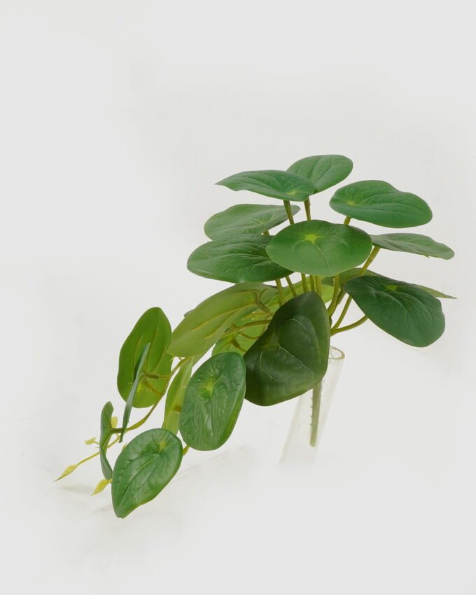 Artificial Plant 20*28cm Foliage *12 hanging GS-29822058 Leaves&Sprays&Foliages YeahFlower is one of Chinese leading OEM manufacturers and exporters , supplying the silk flowers, wholesale artificial trees