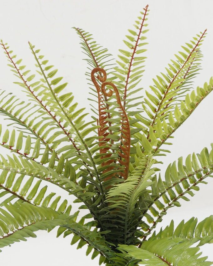 Artificial Plant 50*50*48cm Frond bush *19 GS-57622001 Leaves&Sprays&Foliages YeahFlower is one of Chinese leading OEM manufacturers and exporters , supplying the silk flowers, wholesale artificial trees