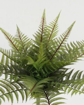 Artificial Plant 56*56*43cm Frond bush *19 GS-57622002 Leaves&Sprays&Foliages YeahFlower is one of Chinese leading OEM manufacturers and exporters , supplying the silk flowers, wholesale artificial trees