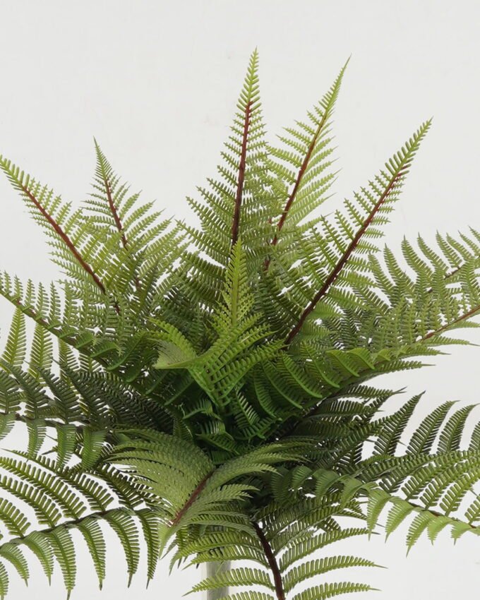 Artificial Plant 56*56*43cm Frond bush *19 GS-57622002 Leaves&Sprays&Foliages YeahFlower is one of Chinese leading OEM manufacturers and exporters , supplying the silk flowers, wholesale artificial trees