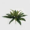 Artificial Plant 40*40*48cm Grass *4 bush GS-29822061 Leaves&Sprays&Foliages YeahFlower is one of Chinese leading OEM manufacturers and exporters , supplying the silk flowers, wholesale artificial trees