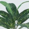Artificial Plant 40*40*44cm Leaf *12 bush GS-29822041SD Leaves&Sprays&Foliages YeahFlower is one of Chinese leading OEM manufacturers and exporters , supplying the silk flowers, wholesale artificial trees