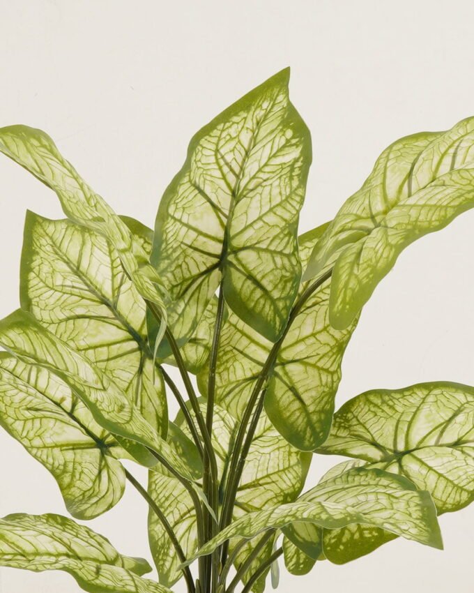 Artificial Plant 34*34*38cm Leaf *12 bush GS-29822043SD Leaves&Sprays&Foliages YeahFlower is one of Chinese leading OEM manufacturers and exporters , supplying the silk flowers, wholesale artificial trees