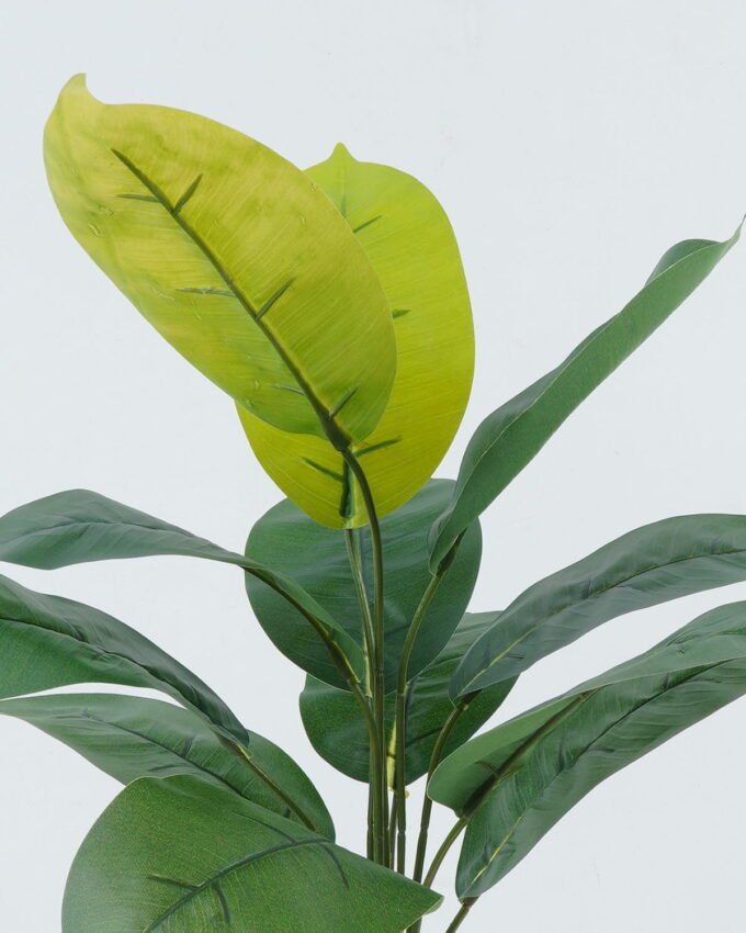 Artificial Plant 36*36*45cm Leaf *12 bush GS-29822045SD Leaves&Sprays&Foliages YeahFlower is one of Chinese leading OEM manufacturers and exporters , supplying the silk flowers, wholesale artificial trees