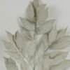 Artificial Plant Leaf 5 single stem GS-43222002-W1_1 Artificial Plant 25*53cm Leaf *5 single stem GS-43222002-W1 Leaves&Sprays&Foliages 3,000+ sqm showroom with thousands of artificial flowers, plants & trees ready for global sourcing.