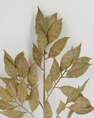 Artificial Plant 25*53cm Leaf *5 single stem GS-43222002 Leaves&Sprays&Foliages YeahFlower is one of Chinese leading OEM manufacturers and exporters , supplying the silk flowers, wholesale artificial trees