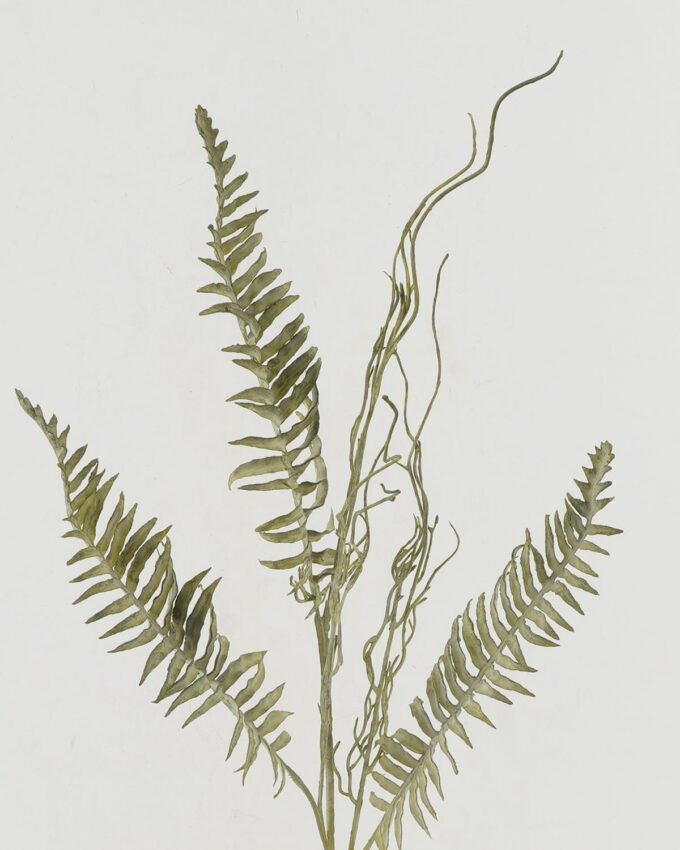 Artificial Plant 26*26*80cm Leaf single stem GS-43222003 Leaves&Sprays&Foliages YeahFlower is one of Chinese leading OEM manufacturers and exporters , supplying the silk flowers, wholesale artificial trees