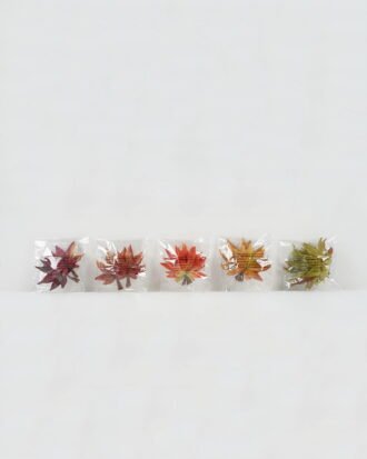 Artificial Plant 16*18cm Maple Leaf in PP bags GS-65722021CONTI-O1 Leaves&Sprays&Foliages YeahFlower is one of Chinese leading OEM manufacturers and exporters , supplying the silk flowers, wholesale artificial trees Artificial Plant 16*18cm Maple Leaf in PP bags GS-65722021CONTI-O1 Leaves&Sprays&Foliages YeahFlower is one of Chinese leading OEM manufacturers and exporters , supplying the silk flowers, wholesale artificial trees