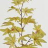 Artificial Plant 25*25*74cm Maple Leaf single stem GS-65722017CONTI-G1 Leaves&Sprays&Foliages YeahFlower is one of Chinese leading OEM manufacturers and exporters , supplying the silk flowers, wholesale artificial trees