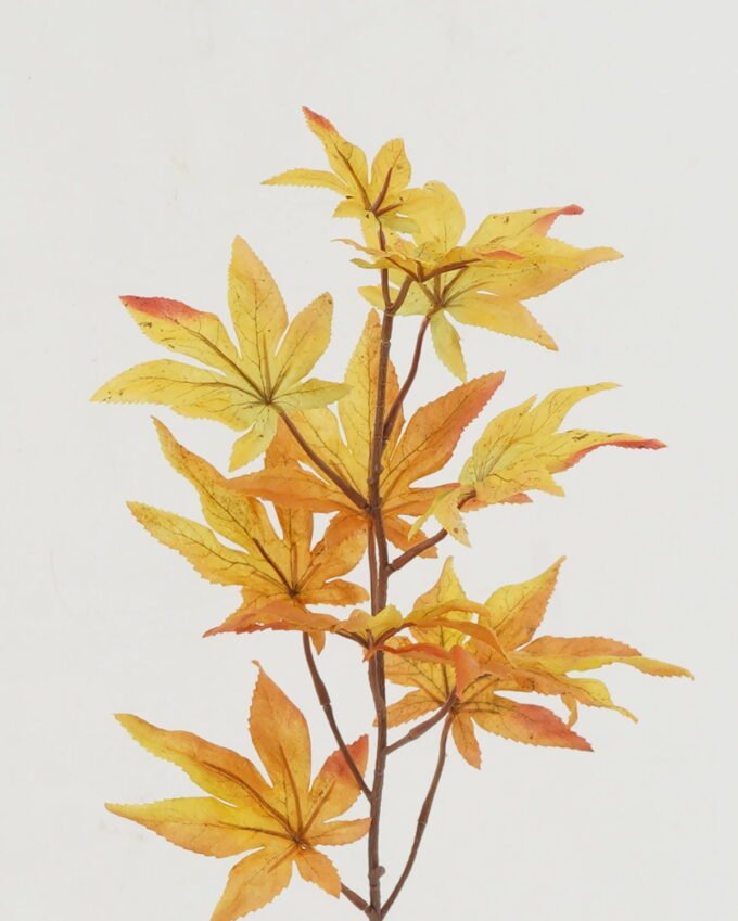 Artificial Plant Maple Leaf single stem GS-65722018CONTI_2 Artificial Plant 18*18*64cm Maple Leaf single stem GS-65722018CONTI Leaves&Sprays&Foliages YeahFlower is one of Chinese leading OEM manufacturers and exporters , supplying the silk flowers, wholesale artificial trees