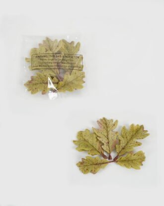 Artificial Plant 16*18cm Oak leaf in PP bags GS-65722016CONTI-G1 Leaves&Sprays&Foliages YeahFlower is one of Chinese leading OEM manufacturers and exporters , supplying the silk flowers, wholesale artificial trees