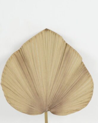 Artificial Plant 34*64cm Palm single stem GS-10622001 Leaves&Sprays&Foliages YeahFlower is one of Chinese leading OEM manufacturers and exporters , supplying the silk flowers, wholesale artificial trees