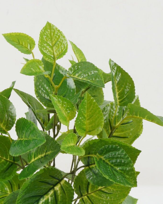 Artificial Plant 30*30*41cm Purple perilla *7 bush GS-29822054 Leaves&Sprays&Foliages 3,000+ sqm showroom with thousands of artificial flowers, plants & trees ready for global sourcing.