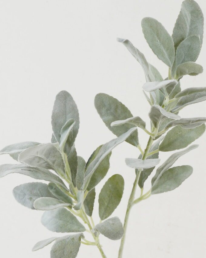 Artificial Plant 23*23*73cm Rabbit ear leaf *2 single stem GS-45022001 Leaves&Sprays&Foliages YeahFlower is one of Chinese leading OEM manufacturers and exporters , supplying the silk flowers, wholesale artificial trees