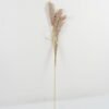 Artificial Plant 12*3*110cm Single reed GS-66222148 Leaves&Sprays&Foliages YeahFlower is one of Chinese leading OEM manufacturers and exporters , supplying the silk flowers, wholesale artificial trees