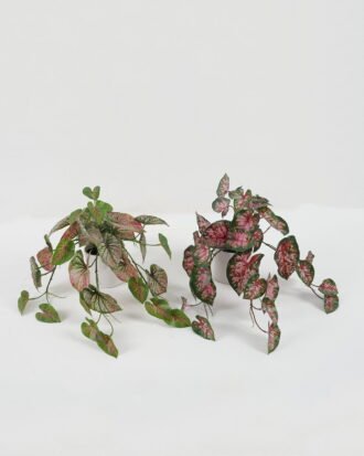 Artificial Table Plants 40cm Leaf in PP pot GS-14522029-P1 Potted Flowers&Plants YeahFlower is one of Chinese leading OEM manufacturers and exporters , supplying the silk flowers, wholesale artificial trees Artificial Table Plants 40cm Leaf in PP pot GS-14522029-P1 Potted Flowers&Plants YeahFlower is one of Chinese leading OEM manufacturers and exporters , supplying the silk flowers, wholesale artificial trees