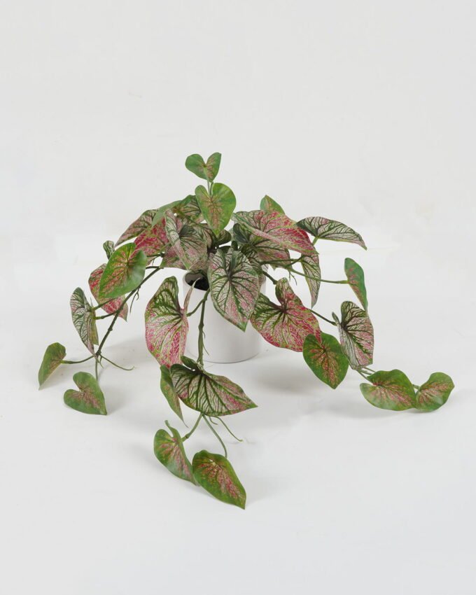 Artificial Table Plants 40cm Leaf in PP pot GS-14522029-P1 Potted Flowers&Plants YeahFlower is one of Chinese leading OEM manufacturers and exporters , supplying the silk flowers, wholesale artificial trees