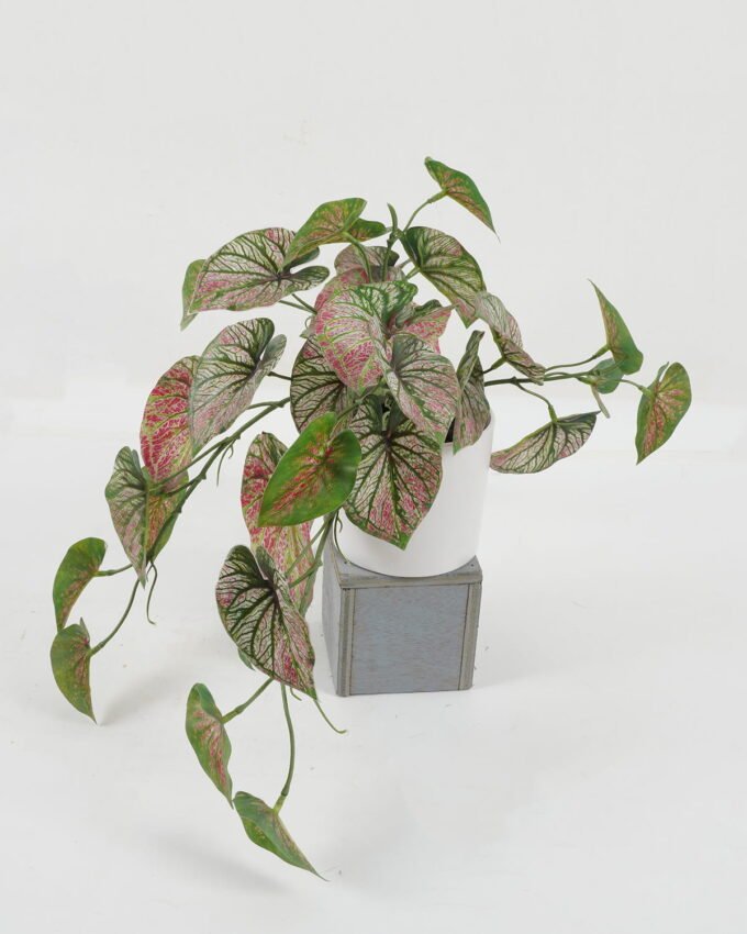 Artificial Table Plants 40cm Leaf in PP pot GS-14522029-P1 Potted Flowers&Plants YeahFlower is one of Chinese leading OEM manufacturers and exporters , supplying the silk flowers, wholesale artificial trees