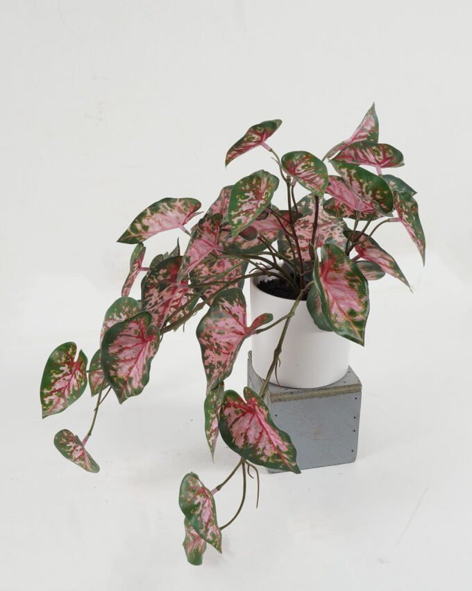 Artificial Table Plants 40cm Leaf in PP pot GS-14522029-P1 Potted Flowers&Plants YeahFlower is one of Chinese leading OEM manufacturers and exporters , supplying the silk flowers, wholesale artificial trees