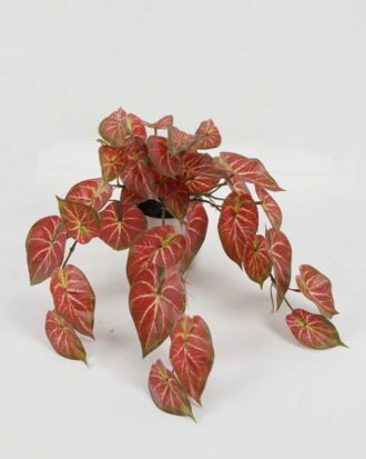 Artificial Table Plants 40cm Leaf in PP pot GS-14522033-R1 Potted Flowers&Plants YeahFlower is one of Chinese leading OEM manufacturers and exporters , supplying the silk flowers, wholesale artificial trees Artificial Table Plants 40cm Leaf in PP pot GS-14522033-R1 Potted Flowers&Plants YeahFlower is one of Chinese leading OEM manufacturers and exporters , supplying the silk flowers, wholesale artificial trees