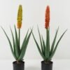 Artificial Table Plants 44*44*84cm Aloe in PP pot GS-59522112 Potted Flowers&Plants YeahFlower is one of Chinese leading OEM manufacturers and exporters , supplying the silk flowers, wholesale artificial trees