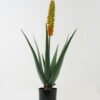 Artificial Table Plants 44*44*84cm Aloe in PP pot GS-59522112 Potted Flowers&Plants YeahFlower is one of Chinese leading OEM manufacturers and exporters , supplying the silk flowers, wholesale artificial trees