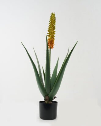 Artificial Table Plants 44*44*84cm Aloe in PP pot GS-59522112 Potted Flowers&Plants YeahFlower is one of Chinese leading OEM manufacturers and exporters , supplying the silk flowers, wholesale artificial trees Artificial Table Plants 44*44*84cm Aloe in PP pot GS-59522112 Potted Flowers&Plants YeahFlower is one of Chinese leading OEM manufacturers and exporters , supplying the silk flowers, wholesale artificial trees