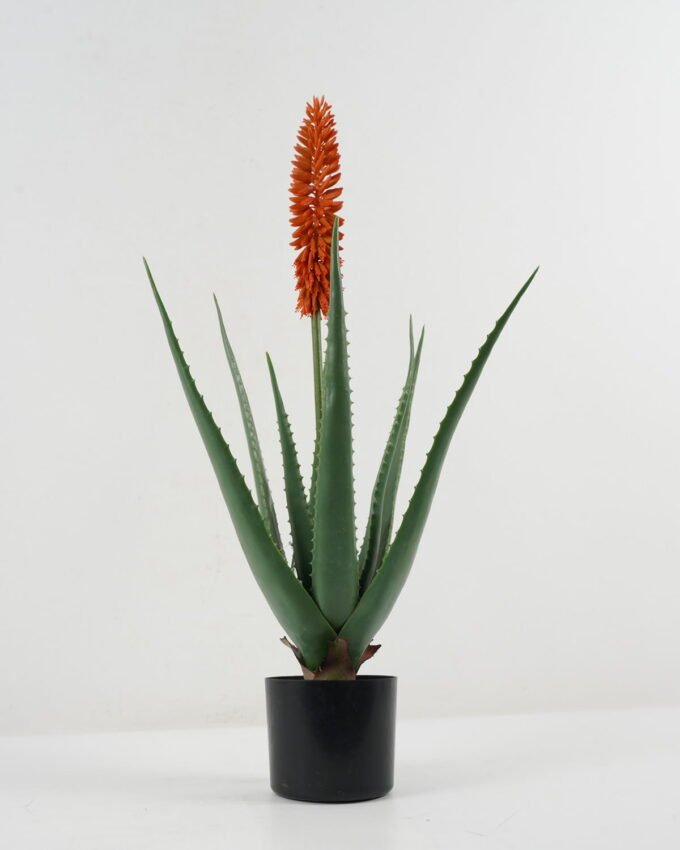 Artificial Table Plants 44*44*84cm Aloe in PP pot GS-59522112 Potted Flowers&Plants YeahFlower is one of Chinese leading OEM manufacturers and exporters , supplying the silk flowers, wholesale artificial trees