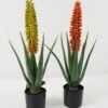 Artificial Table Plants 24*24*62cm Aloe in PP pot GS-59522113 Potted Flowers&Plants YeahFlower is one of Chinese leading OEM manufacturers and exporters , supplying the silk flowers, wholesale artificial trees