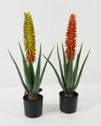 Artificial Table Plants 24*24*62cm Aloe in PP pot GS-59522113 Potted Flowers&Plants YeahFlower is one of Chinese leading OEM manufacturers and exporters , supplying the silk flowers, wholesale artificial trees Artificial Table Plants 24*24*62cm Aloe in PP pot GS-59522113 Potted Flowers&Plants YeahFlower is one of Chinese leading OEM manufacturers and exporters , supplying the silk flowers, wholesale artificial trees