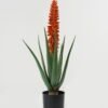 Artificial Table Plants 24*24*62cm Aloe in PP pot GS-59522113 Potted Flowers&Plants YeahFlower is one of Chinese leading OEM manufacturers and exporters , supplying the silk flowers, wholesale artificial trees