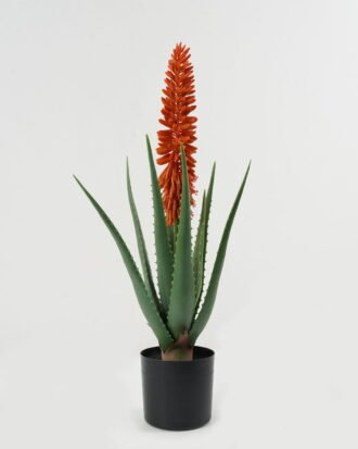 Artificial Table Plants 24*24*62cm Aloe in PP pot GS-59522113 Potted Flowers&Plants YeahFlower is one of Chinese leading OEM manufacturers and exporters , supplying the silk flowers, wholesale artificial trees Artificial Table Plants 24*24*62cm Aloe in PP pot GS-59522113 Potted Flowers&Plants YeahFlower is one of Chinese leading OEM manufacturers and exporters , supplying the silk flowers, wholesale artificial trees