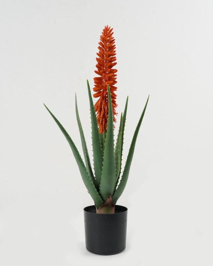 Artificial Table Plants 24*24*62cm Aloe in PP pot GS-59522113 Potted Flowers&Plants YeahFlower is one of Chinese leading OEM manufacturers and exporters , supplying the silk flowers, wholesale artificial trees