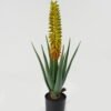 Artificial Table Plants 24*24*62cm Aloe in PP pot GS-59522113 Potted Flowers&Plants YeahFlower is one of Chinese leading OEM manufacturers and exporters , supplying the silk flowers, wholesale artificial trees