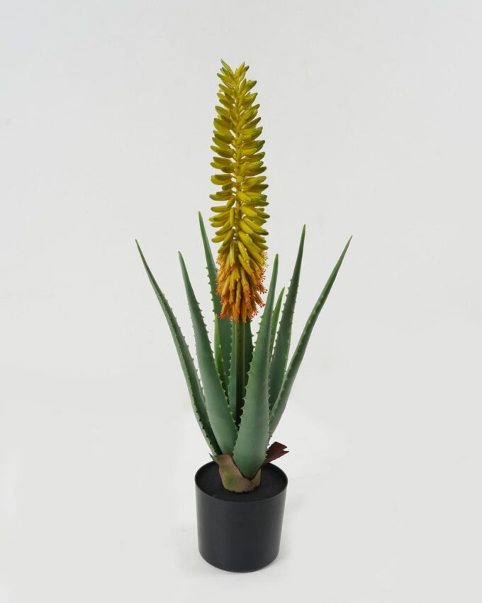 Artificial Table Plants 24*24*62cm Aloe in PP pot GS-59522113 Potted Flowers&Plants YeahFlower is one of Chinese leading OEM manufacturers and exporters , supplying the silk flowers, wholesale artificial trees