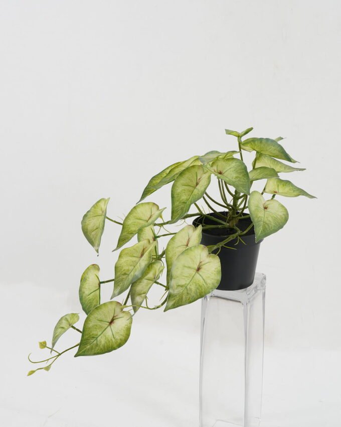 Artificial Table Plants BIG Taro leaf in PP pot GS-03321173P4P48 Potted Flowers&Plants YeahFlower is one of Chinese leading OEM manufacturers and exporters , supplying the silk flowers, wholesale artificial trees