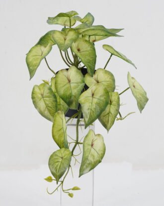 Artificial Table Plants BIG Taro leaf in PP pot GS-03321173P4P48 Potted Flowers&Plants YeahFlower is one of Chinese leading OEM manufacturers and exporters , supplying the silk flowers, wholesale artificial trees Artificial Table Plants BIG Taro leaf in PP pot GS-03321173P4P48 Potted Flowers&Plants YeahFlower is one of Chinese leading OEM manufacturers and exporters , supplying the silk flowers, wholesale artificial trees