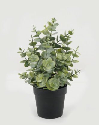 Artificial Table Plants 19*19*26cm Eucalyptus leaves in PP pot GS-05522090 Potted Flowers&Plants YeahFlower is one of Chinese leading OEM manufacturers and exporters , supplying the silk flowers, wholesale artificial trees Artificial Table Plants 19*19*26cm Eucalyptus leaves in PP pot GS-05522090 Potted Flowers&Plants YeahFlower is one of Chinese leading OEM manufacturers and exporters , supplying the silk flowers, wholesale artificial trees