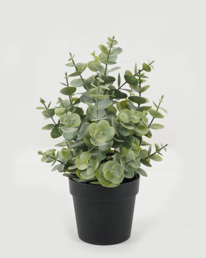 Artificial Table Plants 19*19*26cm Eucalyptus leaves in PP pot GS-05522090 Potted Flowers&Plants YeahFlower is one of Chinese leading OEM manufacturers and exporters , supplying the silk flowers, wholesale artificial trees