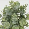 Artificial Table Plants 19*19*26cm Eucalyptus leaves in PP pot GS-05522090 Potted Flowers&Plants YeahFlower is one of Chinese leading OEM manufacturers and exporters , supplying the silk flowers, wholesale artificial trees