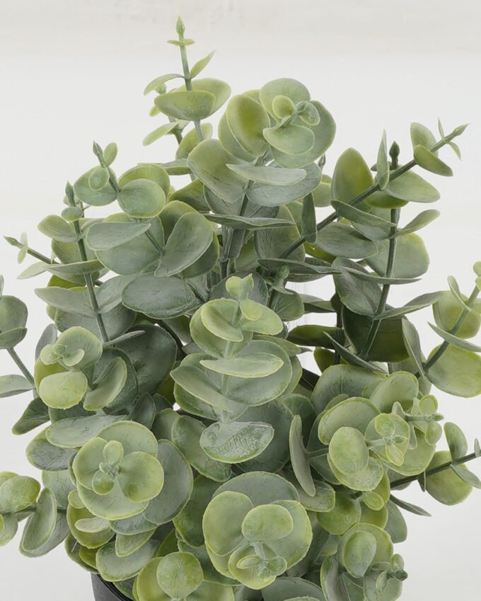 Artificial Table Plants 19*19*26cm Eucalyptus leaves in PP pot GS-05522090 Potted Flowers&Plants YeahFlower is one of Chinese leading OEM manufacturers and exporters , supplying the silk flowers, wholesale artificial trees