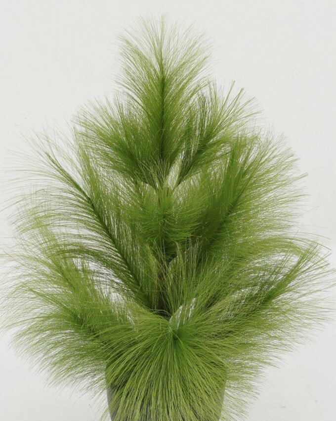 Artificial Table Plants GS-45722033_6 Artificial Table Plants GS-45722033 Potted Flowers&Plants YeahFlower is one of Chinese leading OEM manufacturers and exporters , supplying the silk flowers, wholesale artificial trees