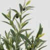Artificial Table Plants 32*32*59cm Olive *14 in PP pot GS-16822096 Potted Flowers&Plants YeahFlower is one of Chinese leading OEM manufacturers and exporters , supplying the silk flowers, wholesale artificial trees
