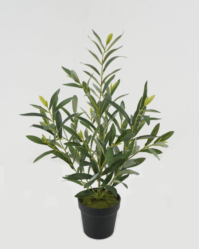 Artificial Table Plants 32*32*57cm Olive *14 in PP pot GS-16822099 Potted Flowers&Plants YeahFlower is one of Chinese leading OEM manufacturers and exporters , supplying the silk flowers, wholesale artificial trees