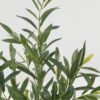 Artificial Table Plants 32*32*57cm Olive *14 in PP pot GS-16822099 Potted Flowers&Plants YeahFlower is one of Chinese leading OEM manufacturers and exporters , supplying the silk flowers, wholesale artificial trees