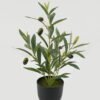Artificial Table Plants 23*23*34cm Olive *7 in PP pot GS-16822098 Potted Flowers&Plants YeahFlower is one of Chinese leading OEM manufacturers and exporters , supplying the silk flowers, wholesale artificial trees