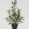 Artificial Table Plants 27*27*48cm Olive *7 in PP pot GS-16822100 Potted Flowers&Plants YeahFlower is one of Chinese leading OEM manufacturers and exporters , supplying the silk flowers, wholesale artificial trees