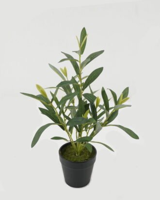 Artificial Table Plants 25*25*35cm Olive *7 in PP pot GS-16822101 Potted Flowers&Plants YeahFlower is one of Chinese leading OEM manufacturers and exporters , supplying the silk flowers, wholesale artificial trees Artificial Table Plants 25*25*35cm Olive *7 in PP pot GS-16822101 Potted Flowers&Plants YeahFlower is one of Chinese leading OEM manufacturers and exporters , supplying the silk flowers, wholesale artificial trees